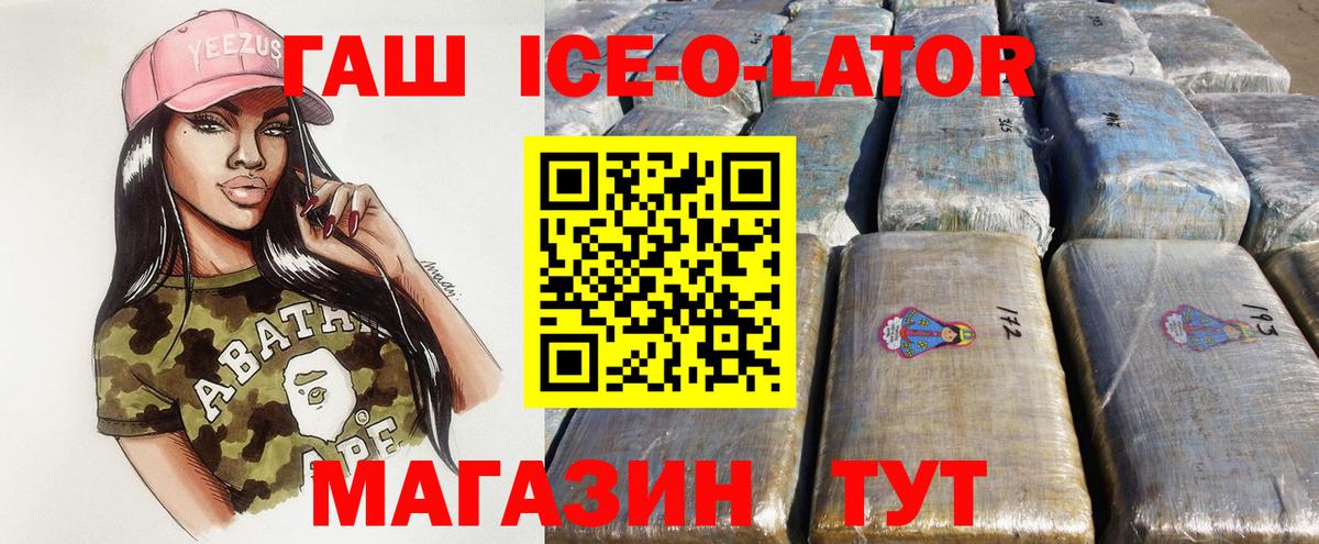 ГАШ Изолятор Гусев